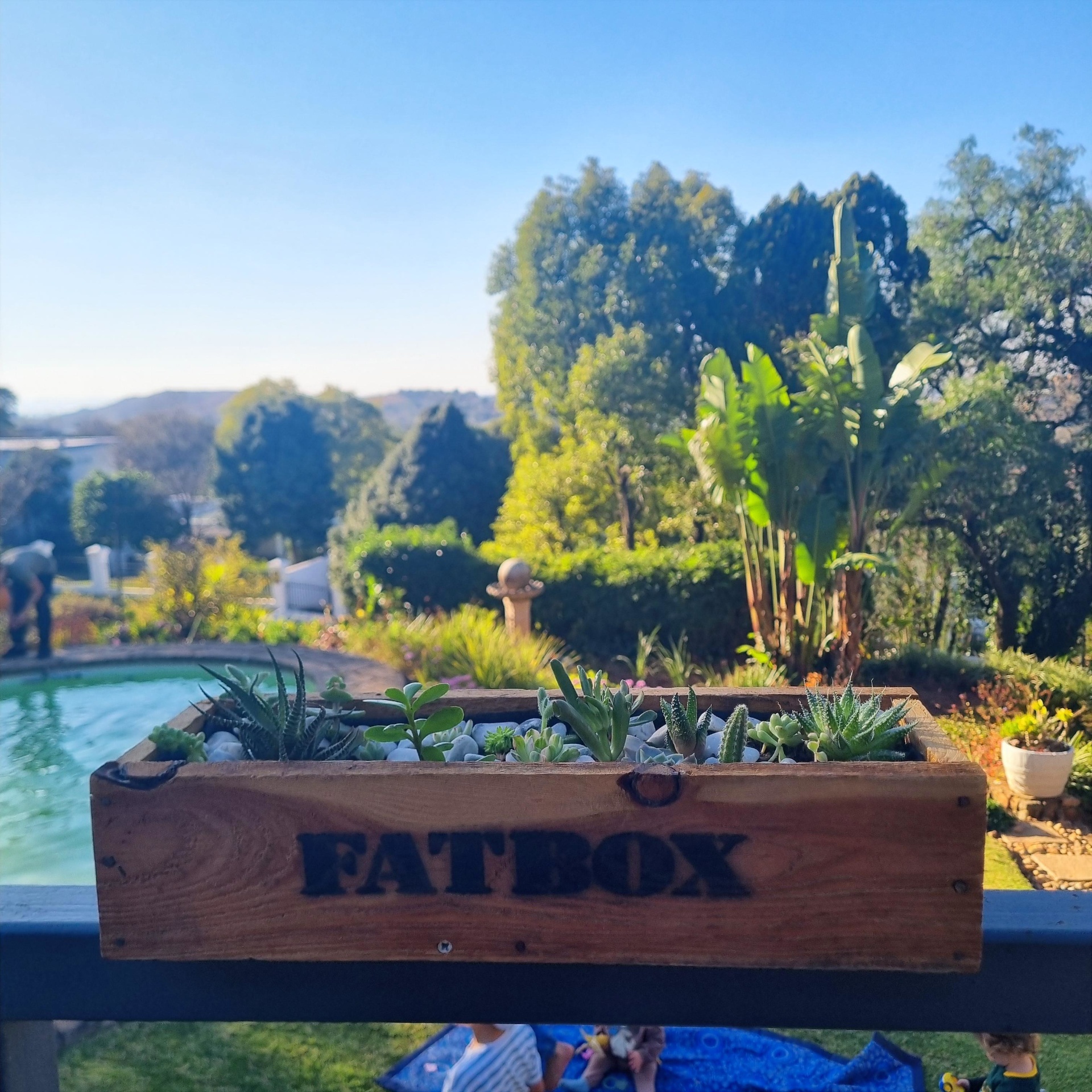 FATBOX handcrafted timber succulent planter