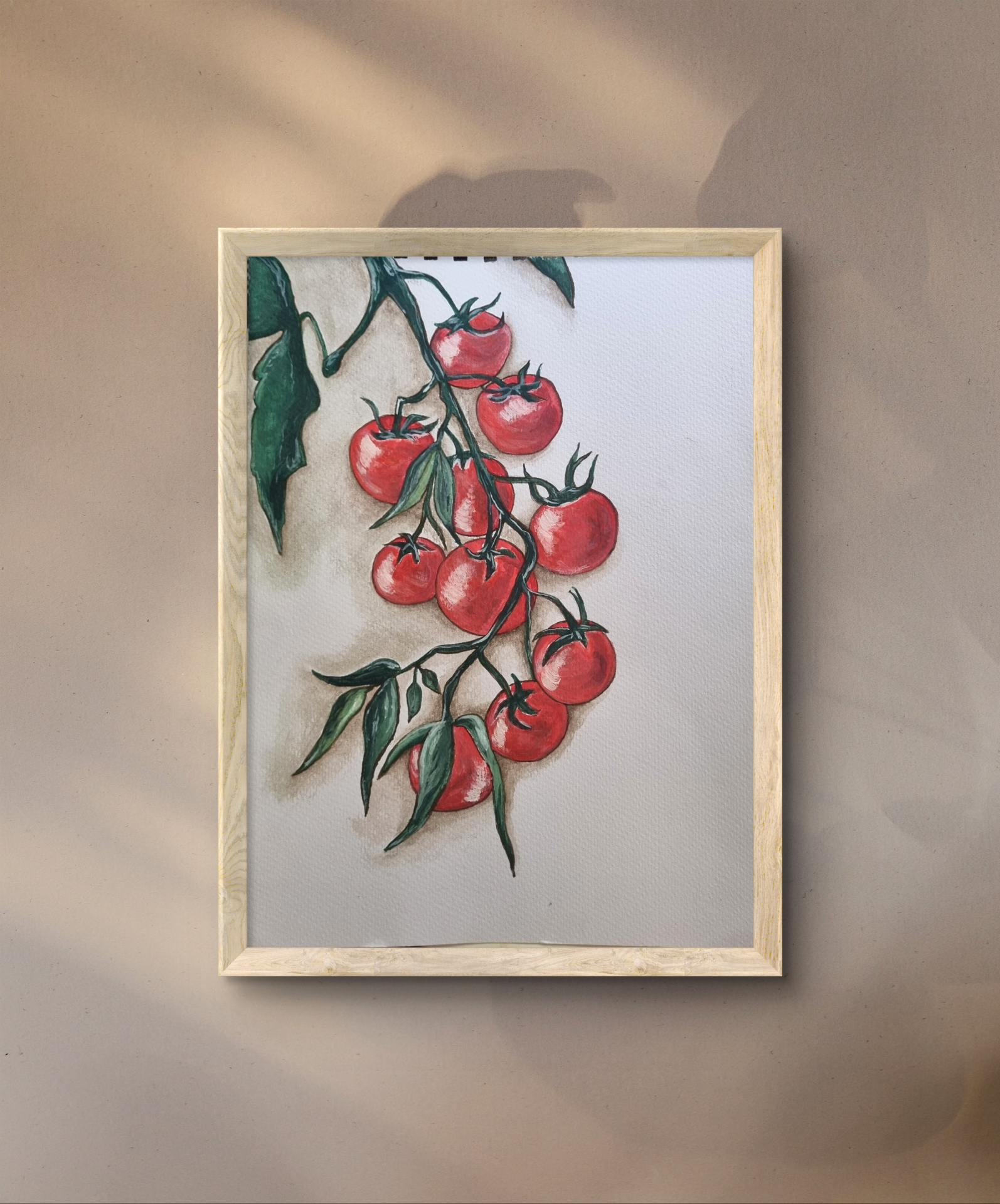 Watercolour still life of ripe tomatoes celebrating vibrant colour and natural simplicity.