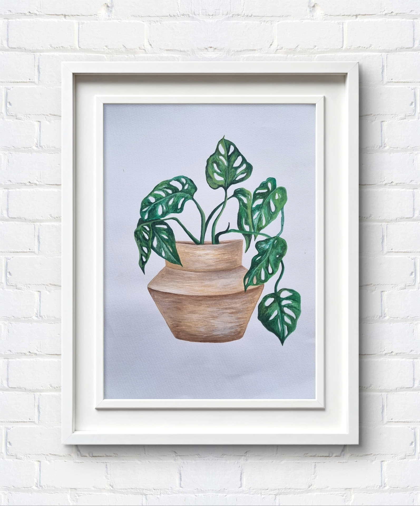 Watercolour botanical artwork showcasing the distinctive leaves of a Monstera plant.