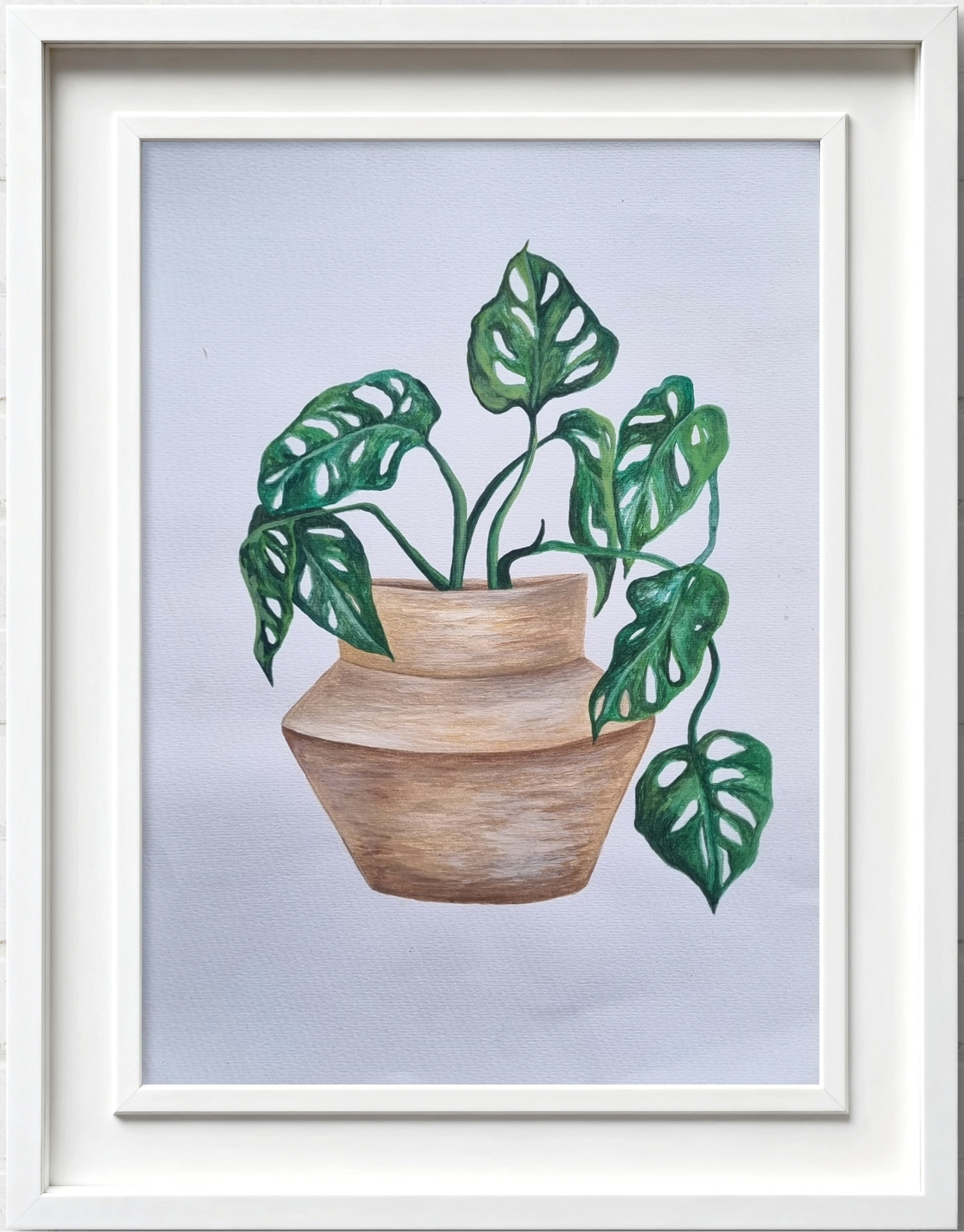 Watercolour botanical artwork showcasing the distinctive leaves of a Monstera plant.