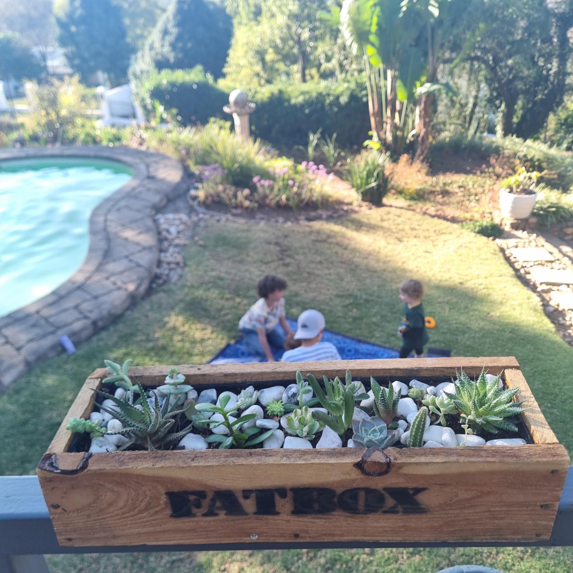 Patio & Garden