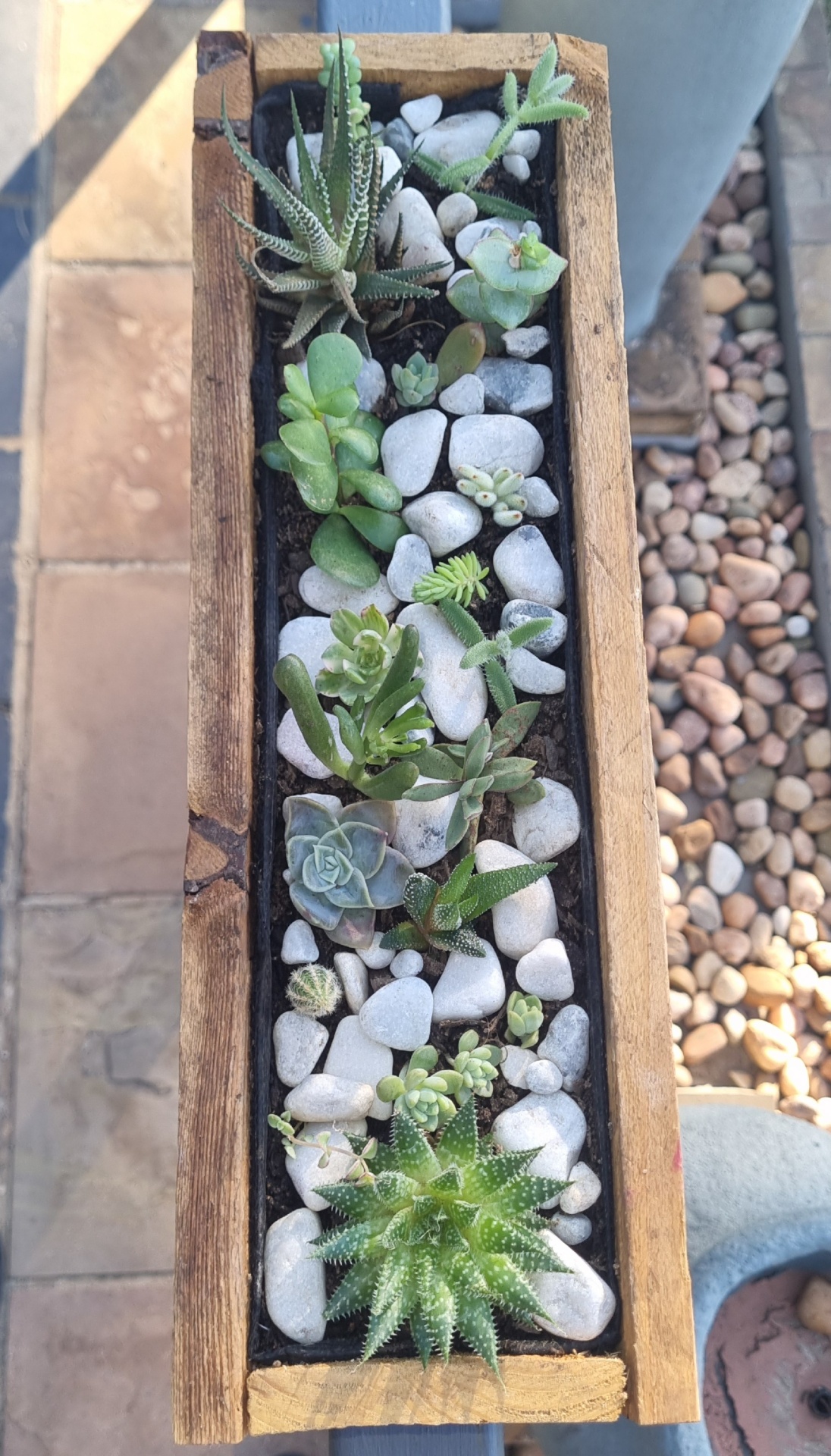 FATBOX planter viewed from above
